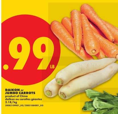 DAIKON or JUMBO CARROTS