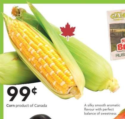 Corn