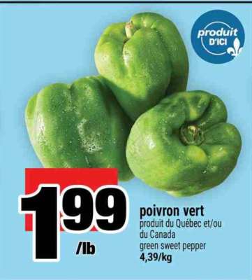 poivron vert