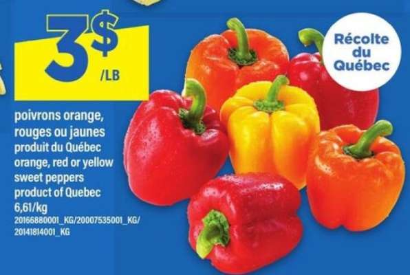 poivrons orange, rouges ou jaunes