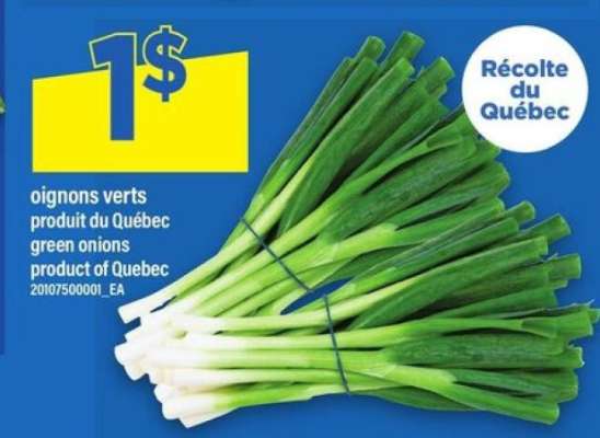 oignons verts