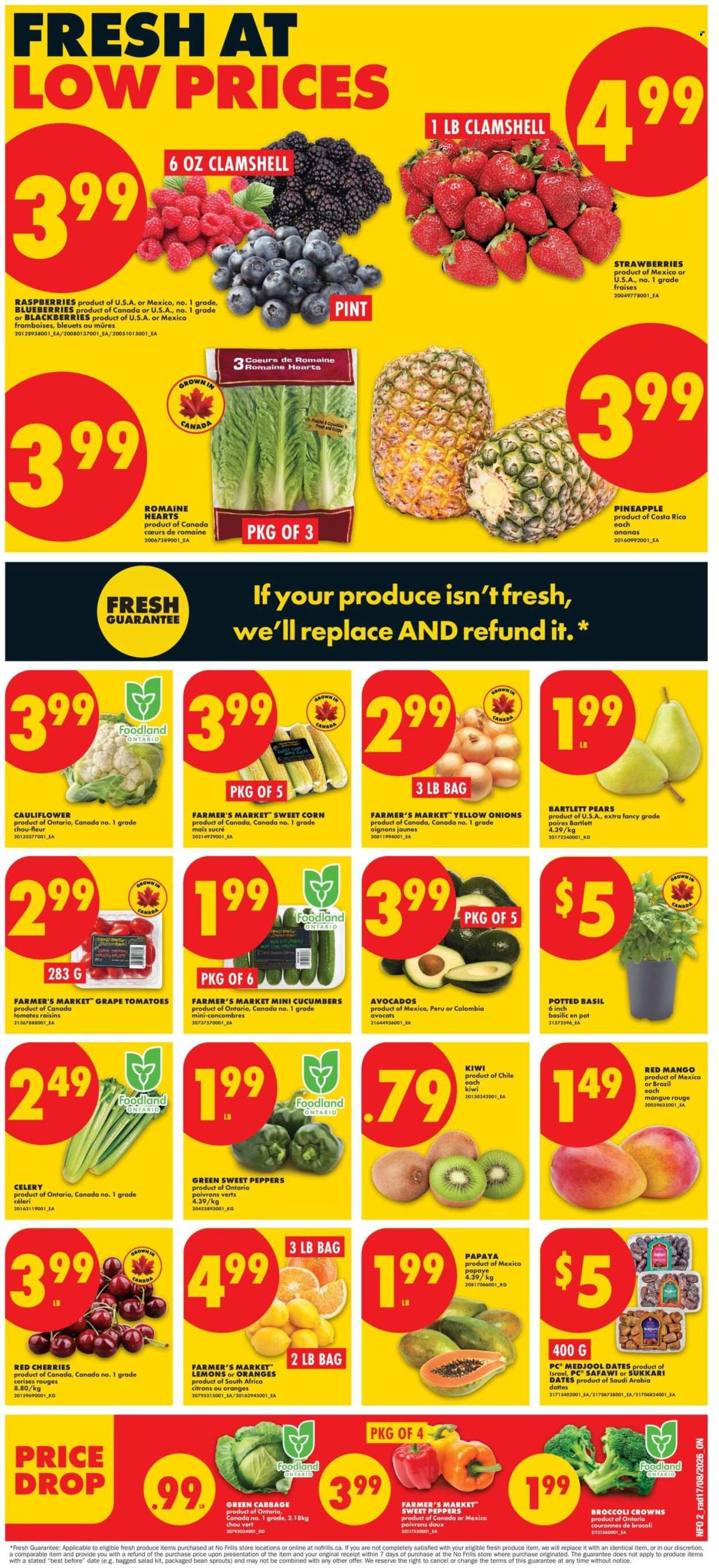 No Frills flyer - August 20, 2026 - August 26, 2026. Page 2