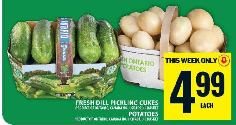 Fresh Dill Pickling Cukes and Potatoes