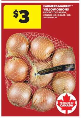 Farmers Market Yellow Onions