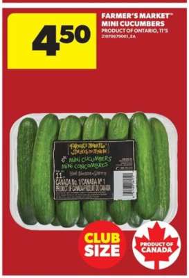 FARMER'S MARKET MINI CUCUMBERS