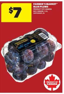 Farmer's Market Blue Plums