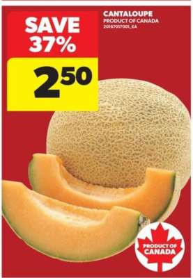 CANTALOUPE