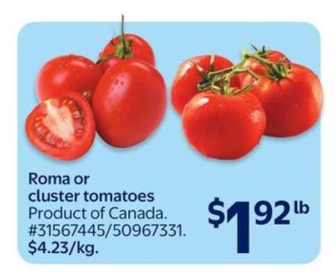 Roma or cluster tomatoes