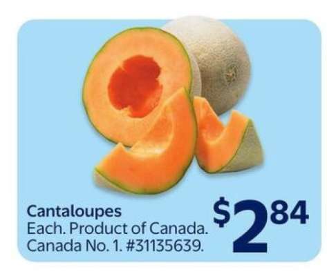Cantaloupes