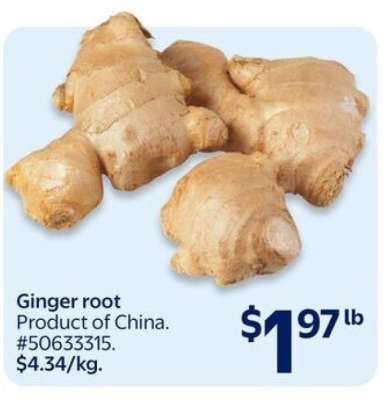 GINGER ROOT
