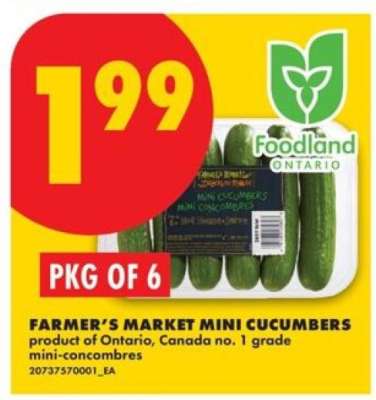 FARMER'S MARKET MINI CUCUMBERS