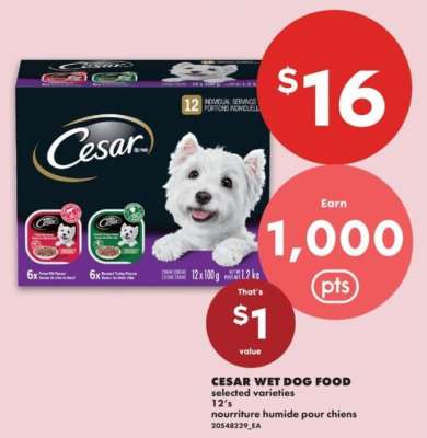 Cesar Wet Dog Food