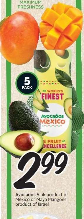 Avocados or Maya Mangoes