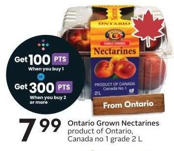 Ontario Grown Nectarines