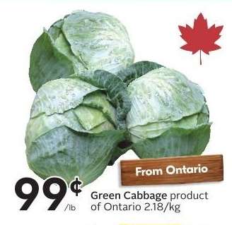 GREEN CABBAGE