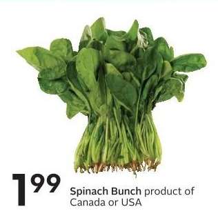 SPINACH, bunch