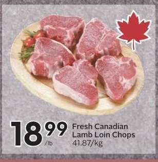 Fresh Canadian Lamb Loin Chops