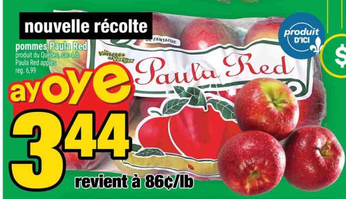 pommes Paula Red