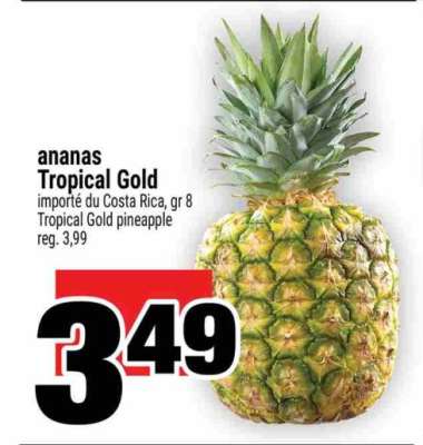 ANANAS TROPICAL GOLD
