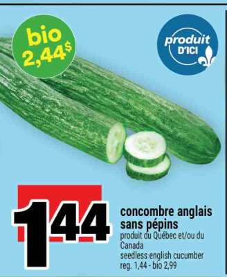 CONCOMBRE ANGLAIS SANS PÉPINS