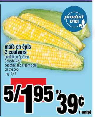 Maïs en épis 2 couleurs
