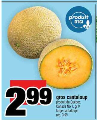 Gros Cantaloup