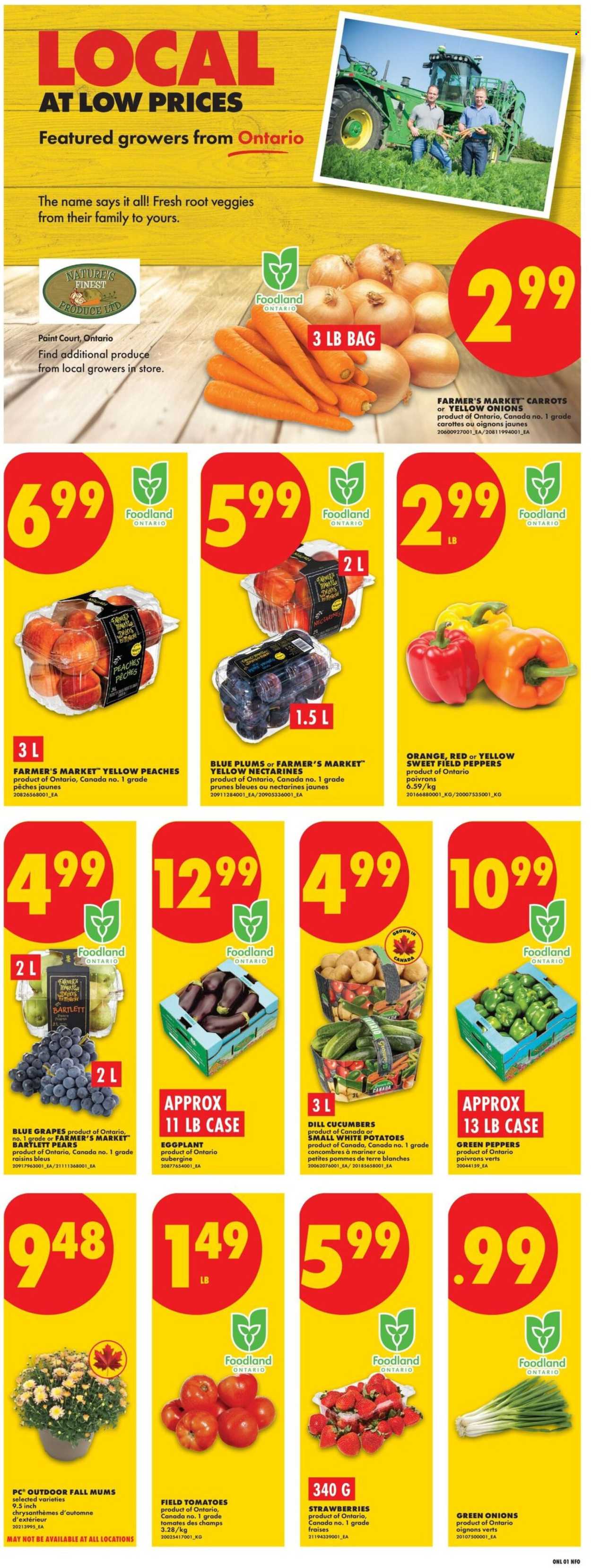 No Frills flyer - August 27, 2026 - September 02, 2026. Page 3