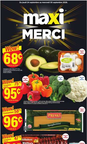 thumbnail - Maxi flyer