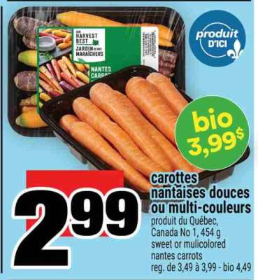 carottes nantaises douces ou multi-couleurs