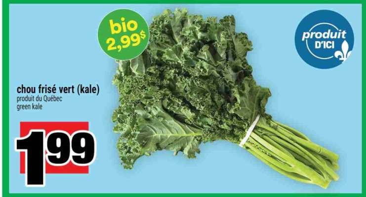 chou frisé vert (kalé)