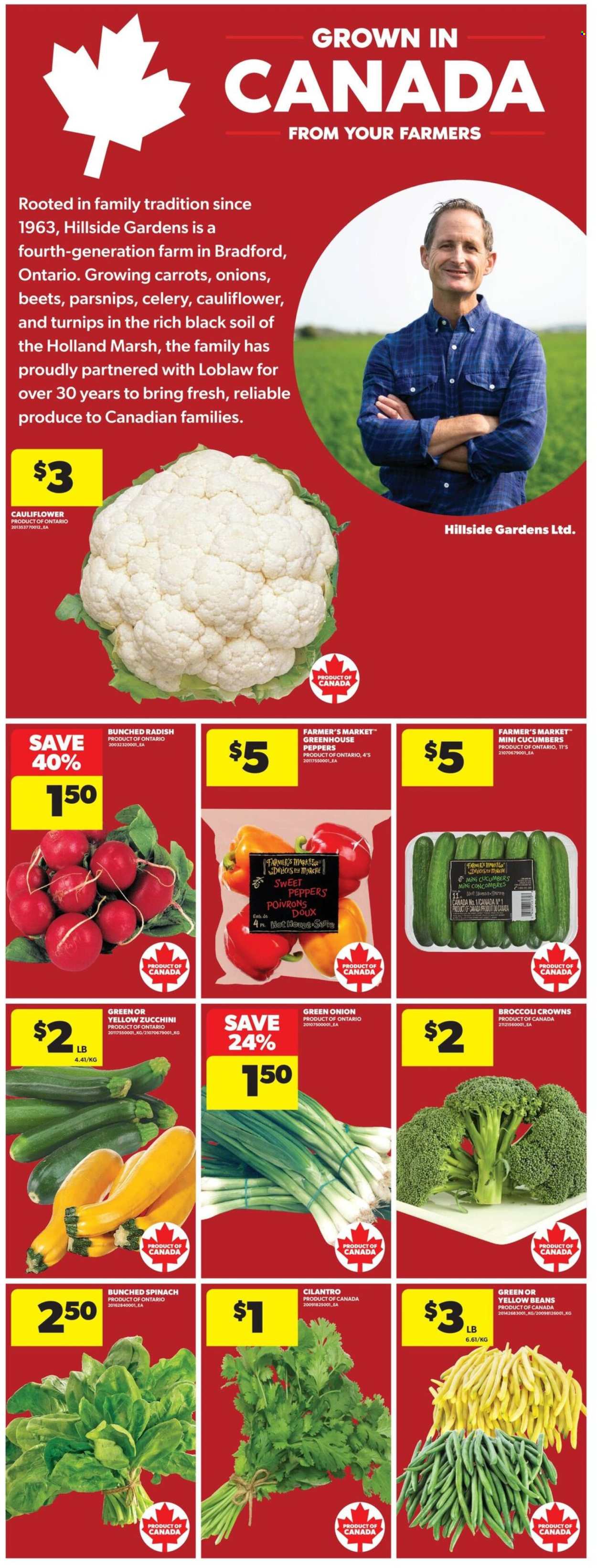 Real Canadian Superstore flyer - September 24, 2026 - September 30, 2026. Page 9