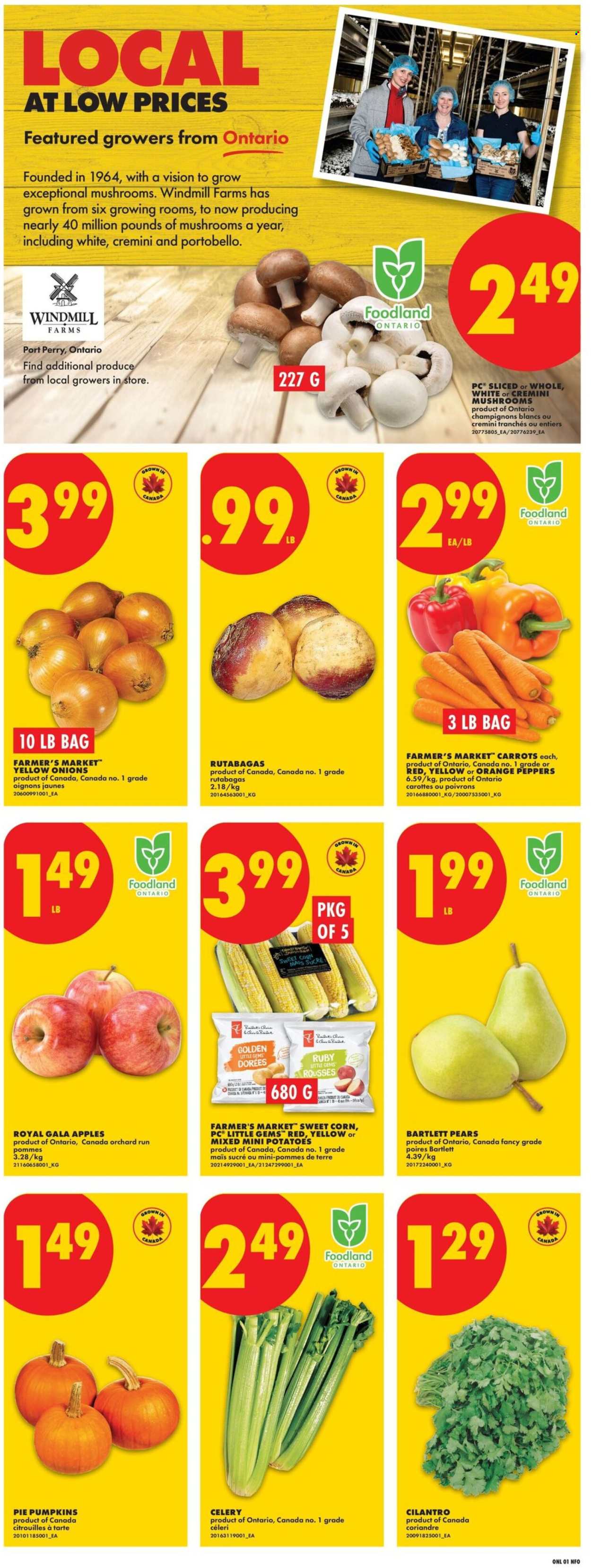 No Frills flyer - September 24, 2026 - September 30, 2026. Page 3