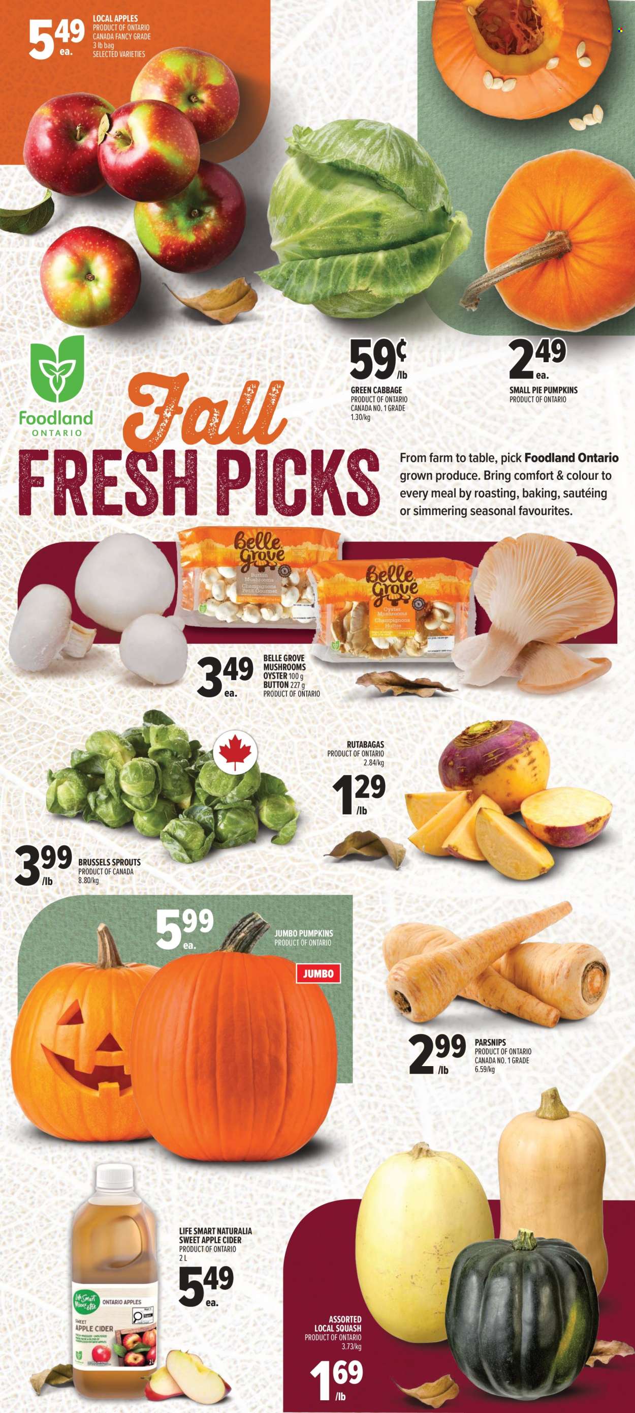 Metro flyer - September 24, 2026 - September 30, 2026. Page 4