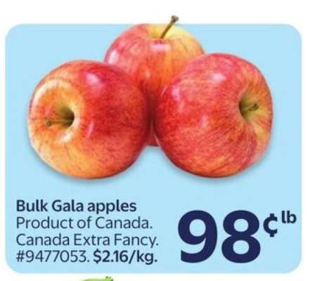 Bulk Gala Apples