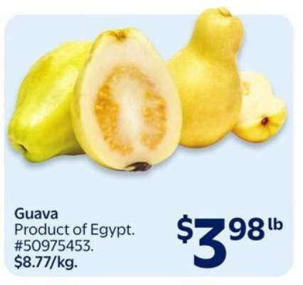 GUAVA