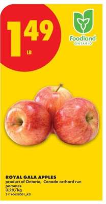 ROYAL GALA APPLES