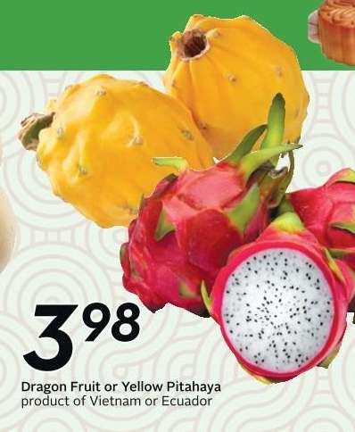 Dragon Fruit or Yellow Pitahaya