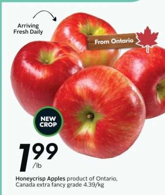 HONEYCRISP APPLES
