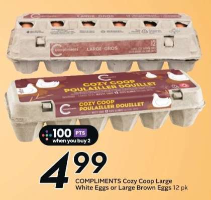 COMPLIMENTS Cozy Coop Large White Eggs or Large Brown Eggs 12 pk