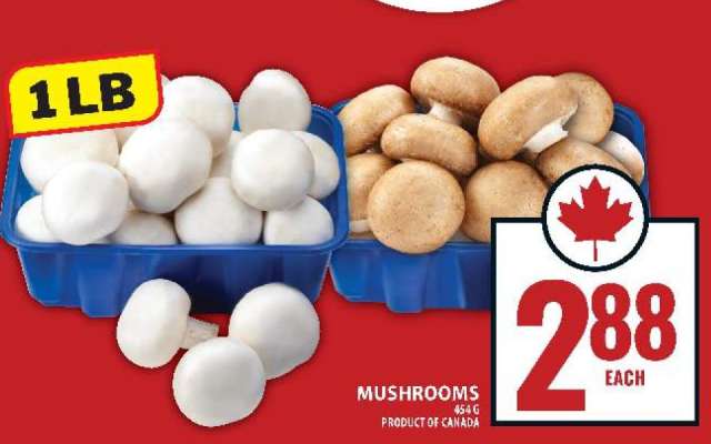 Mushrooms