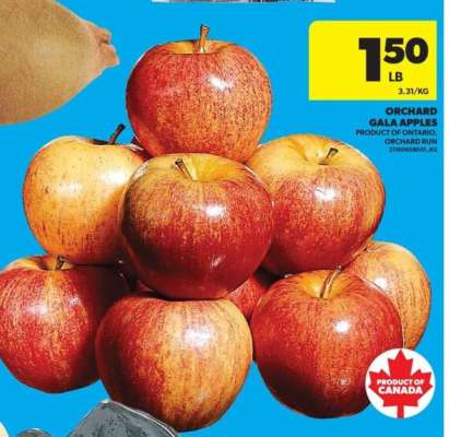 Orchard Gala Apples