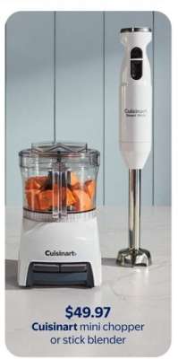 Cuisinart mini chopper or stick blender