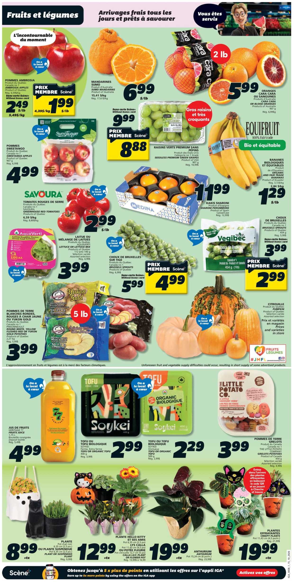 IGA flyer - October 15, 2026 - October 21, 2026. Page 3