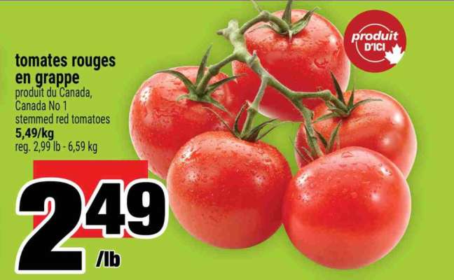 TOMATES ROUGES EN GRAPPE