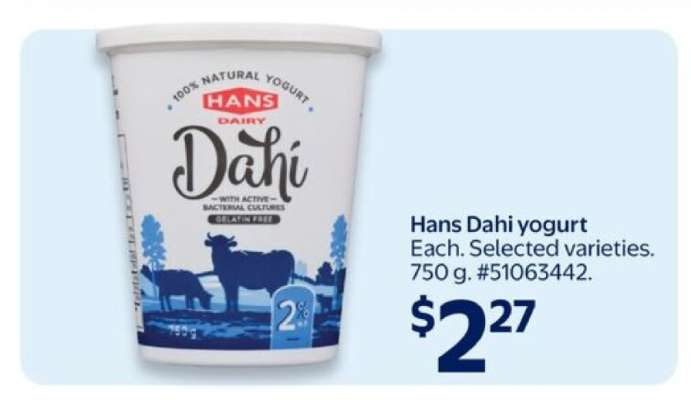 HANS Dahi Yogurt