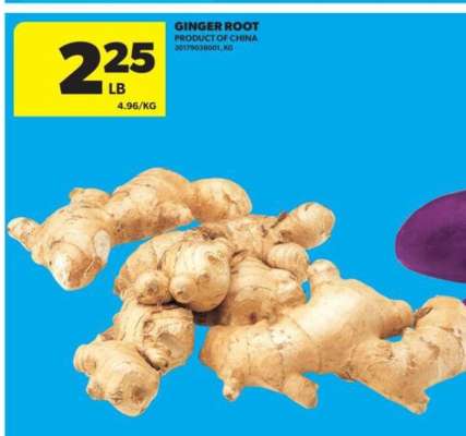 GINGER ROOT