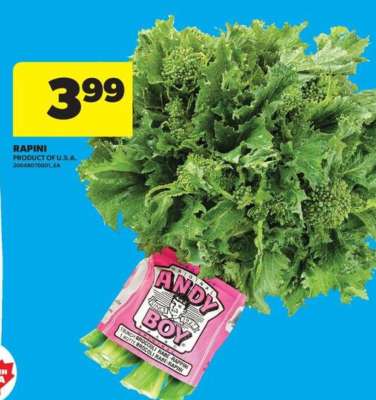 RAPINI