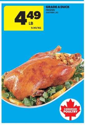 GRADE A DUCK