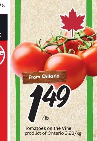 TOMATOES ON THE VINE